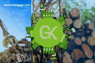 Fueling Sustainability: Exploring the Potential of Biomass Energy for a Greener Future